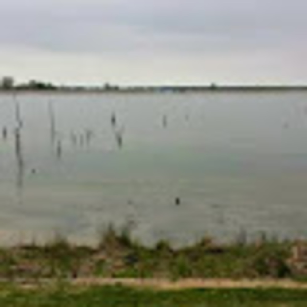 Meet your Posher, Jim